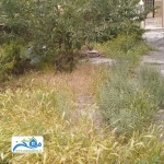 حیاط_480x640