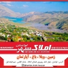 alimirzae314@gmail.com - logo